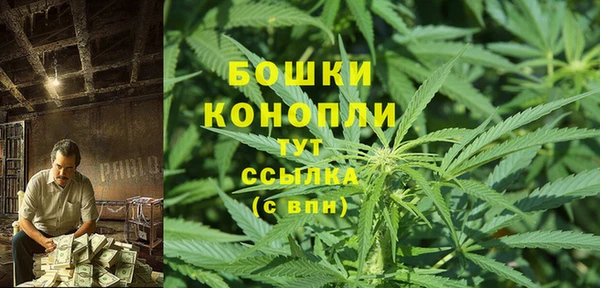 ГАЛЛЮЦИНОГЕННЫЕ ГРИБЫ Зеленокумск