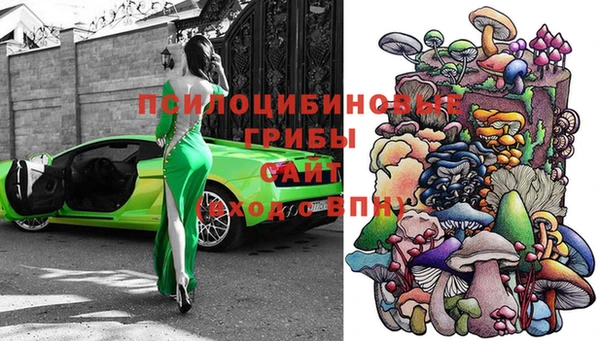 герыч Заводоуковск